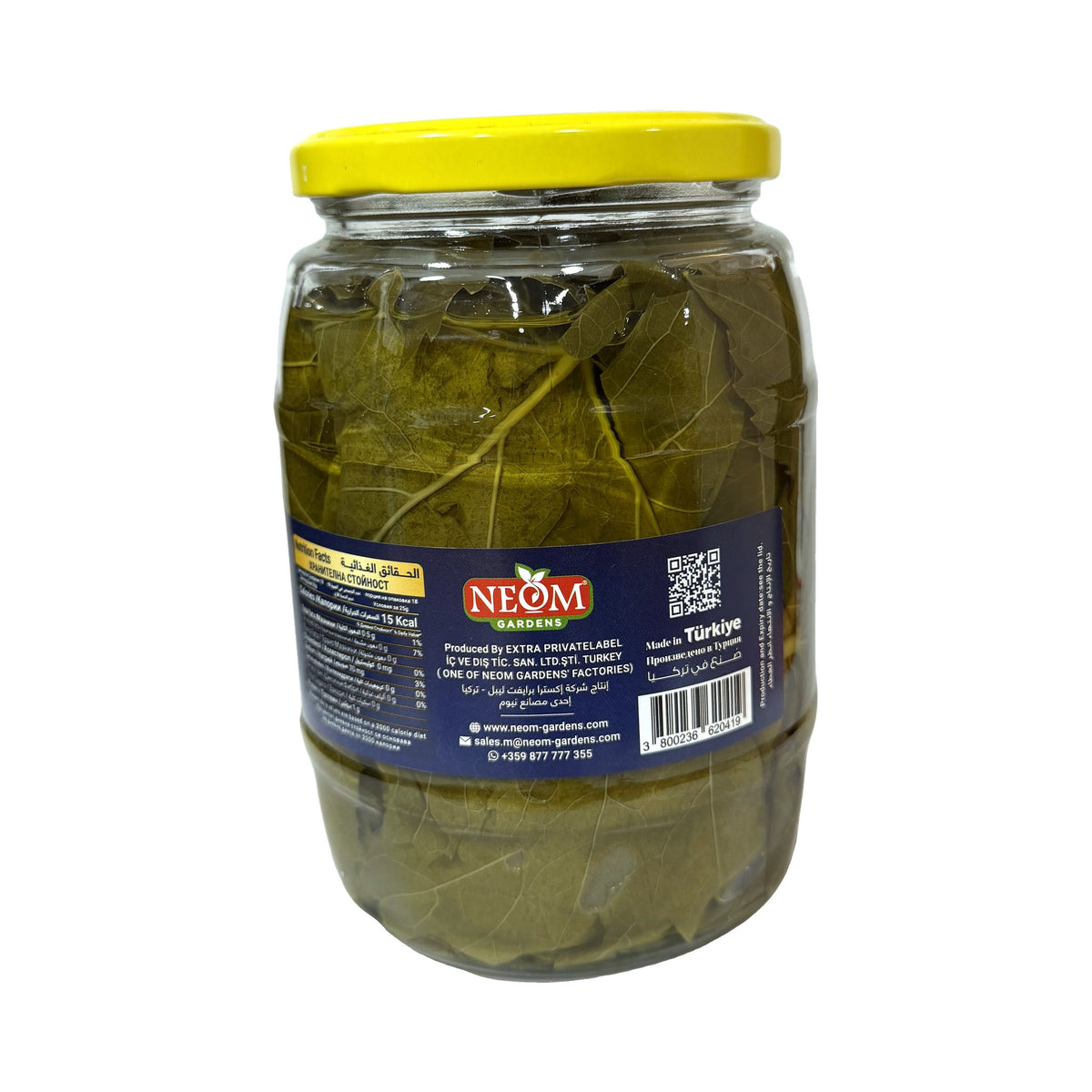 עלי גפן לממולאים Neom Gardens – צנצנת